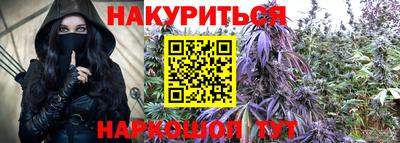 сатива Кулебаки