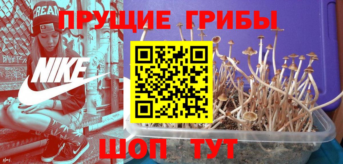 Галлюциногенные грибы ЛСД  Вход с VPN  наркотики  Псилоцибиновые грибы Cubensis  Кемерово 