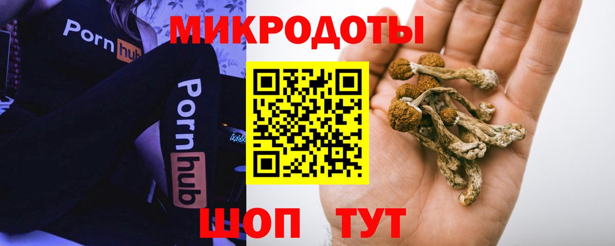 Галлюциногенные грибы GOLDEN TEACHER Кемерово